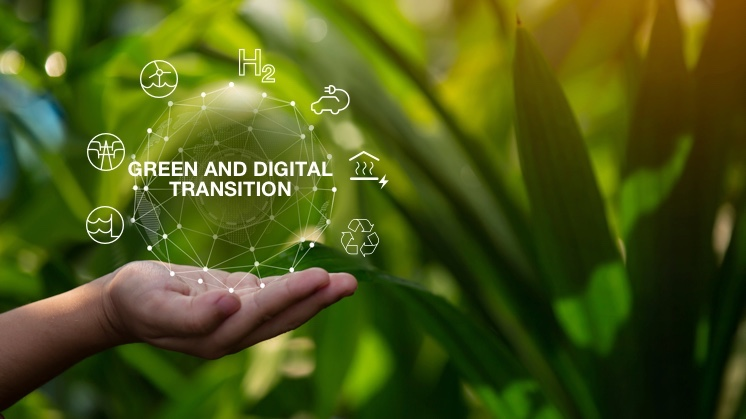 The power of Twin transition: Advancing Sustainability through Green and Digital synergy